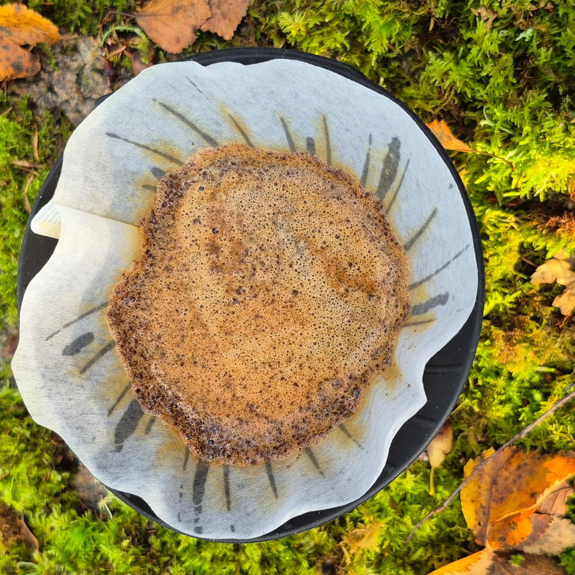 Sammenleggbar V60 Zebrang 02